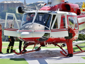 Ventimiglia: cane da caccia cade in canalone, salvato dai vigili del fuoco