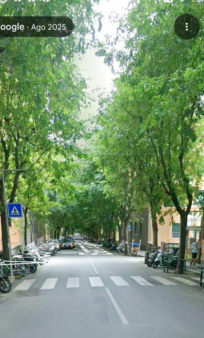 Attraversamento pedonale di via G.B. D'Albertis: allo studio interventi per risolvere il problema