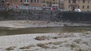 Struppa. Avaria del freno a mano: furgone precipita nel Rio Torbido