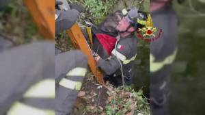 Genova, lieto fine per Charlie, cagnolino disperso da cinque giorni: trovato e salvato dai vigili del fuoco