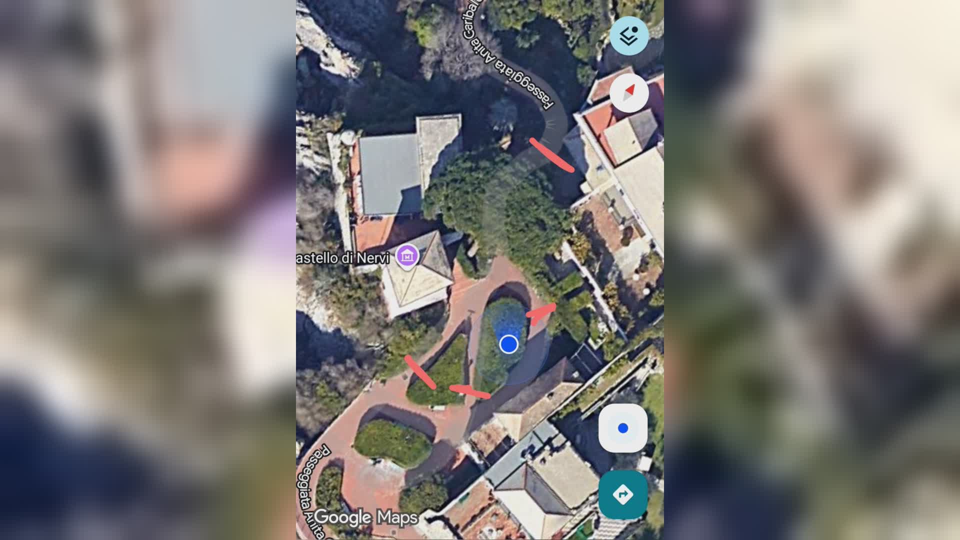 Nervi, pino pericolante: passeggiata interdetta nel tratto all'altezza del Castello