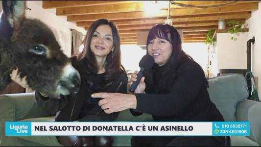 Astro, l'asinello che vive nel salotto di Donatella