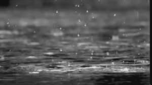 Maltempo in Liguria: fondo regionale da 1,2 milioni per le imprese danneggiate a settembre 2025