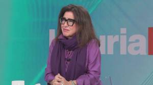 Furto da Sbraccia, la titolare Querci: "Il problema è più esteso, c'è una situazione di emergenza"