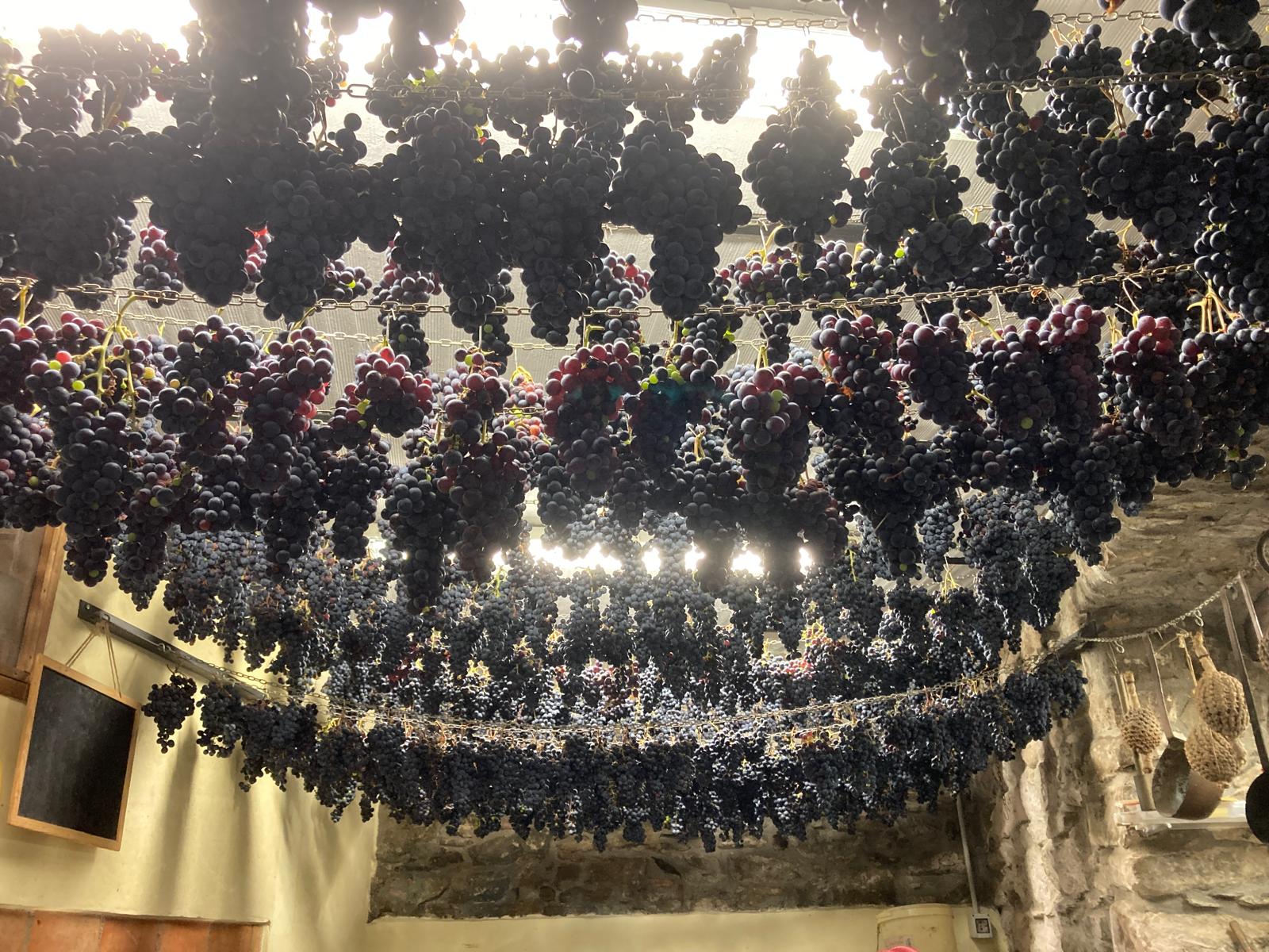 Benvenuti in Liguria fa tappa a Riomaggiore: le Cinque Terre più vere, quelle dei residenti 