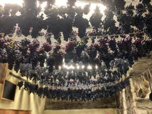 Benvenuti in Liguria fa tappa a Riomaggiore: le Cinque Terre più vere, quelle dei residenti 