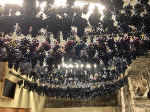 Benvenuti in Liguria fa tappa a Riomaggiore: le Cinque Terre più vere, quelle dei residenti 