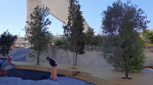 Radura della Memoria: al via le verifiche sul verde. Si punta a terminare l'opera entro l'estate