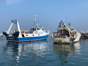 Liguria: due nuovi bandi riservati al comparto Pesca