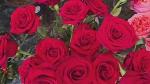 San Valentino quanto mi costi, rose rosse a sei euro l'una