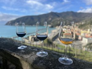 L'olimpionico Maurilio De Zolt a Scignoria! con sottotitoli: "Io, l'oro, Mauro Corona e il buon vino"