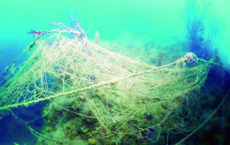 Dalla plastica raccolta in mare a nuovi oggetti con la stampa 3D: il progetto Plastron compie due anni