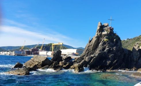 Riva Trigoso: trovato totano gigante sulla spiaggia