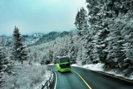 FlixBus: effetto Olimpiadi sul servizio. +340% di prenotazioni per Cortina rispetto al 2025