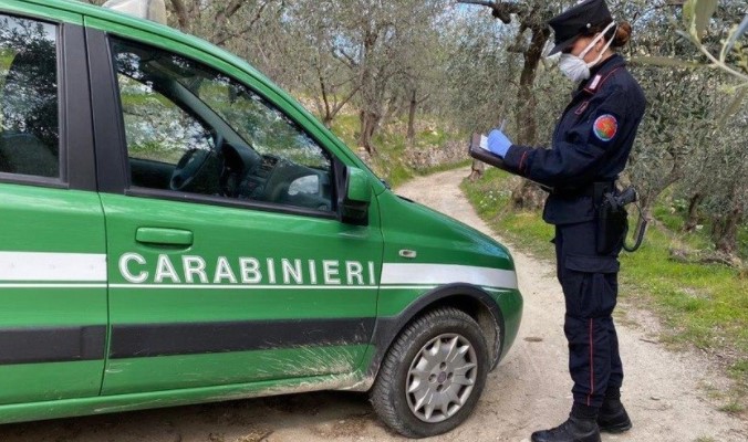 Liguria: emesse 735 denunce per reati ambientali nel 2025