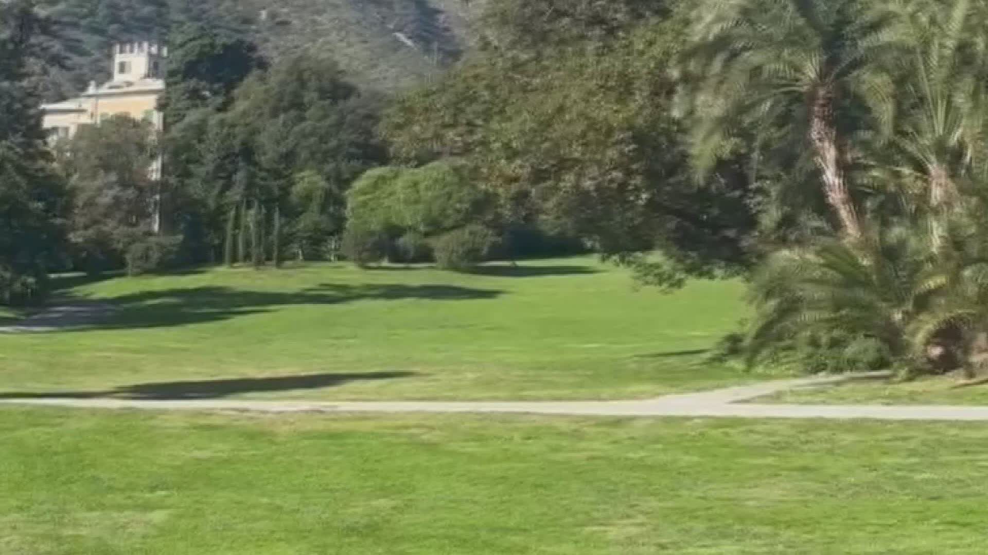 Genova, la nuova tendenza del "depaving", restituire il terreno alla natura rimuovendo asfalto e cemento