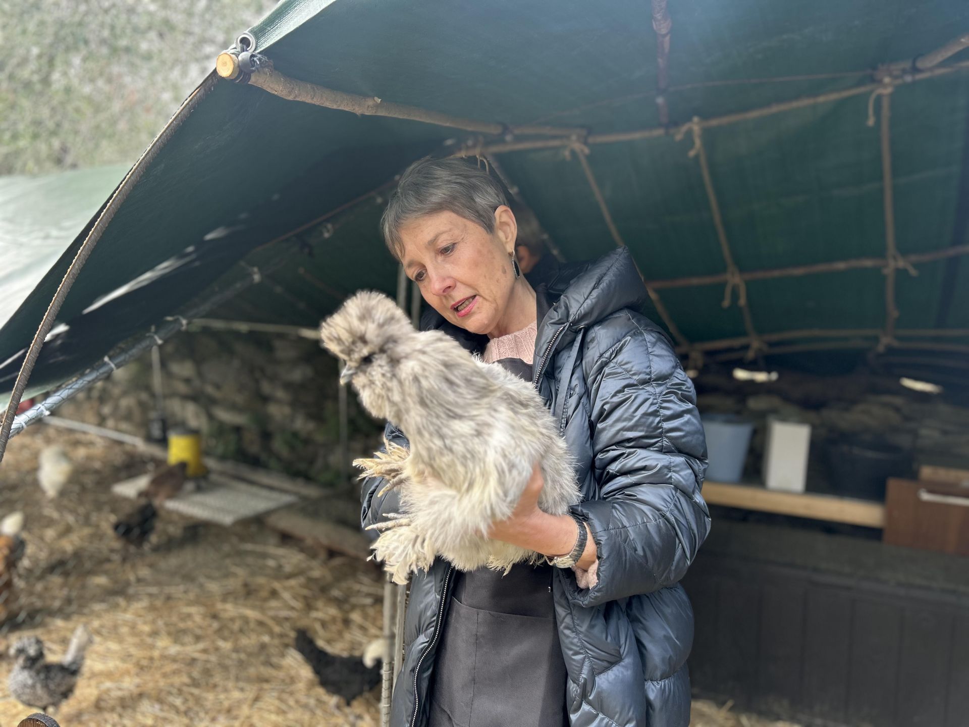 Benvenuti in Liguria tra Pontedassio e Lucinasco con i segreti delle olive e mestieri originali 