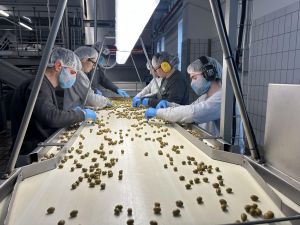 Benvenuti in Liguria torna mercoledì da Lucinasco con i segreti delle olive e mestieri originali 