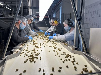 Benvenuti in Liguria torna mercoledì da Lucinasco con i segreti delle olive e mestieri originali 
