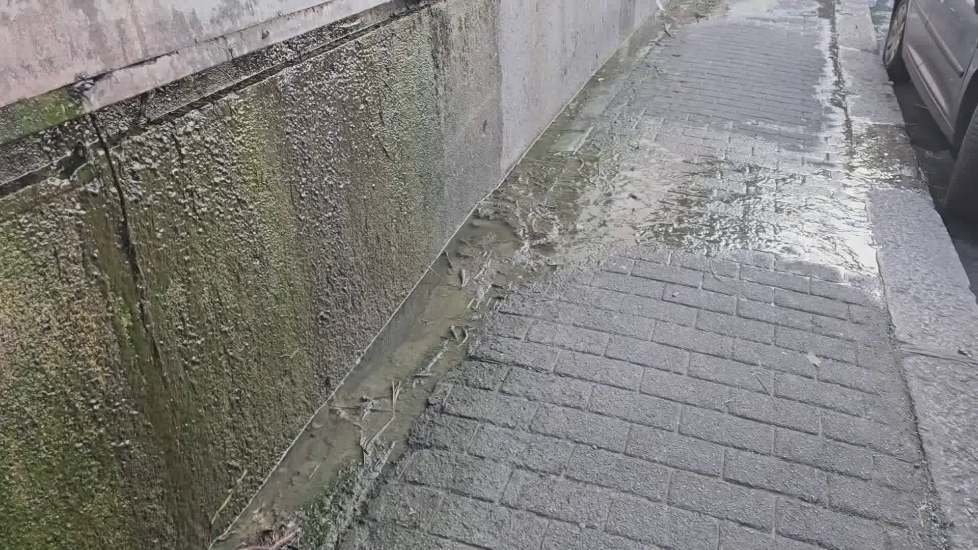 Genova, fogna a cielo aperto in via Cantore: ad oggi senza esito l'intervento di IRETI richiesto dal Comune