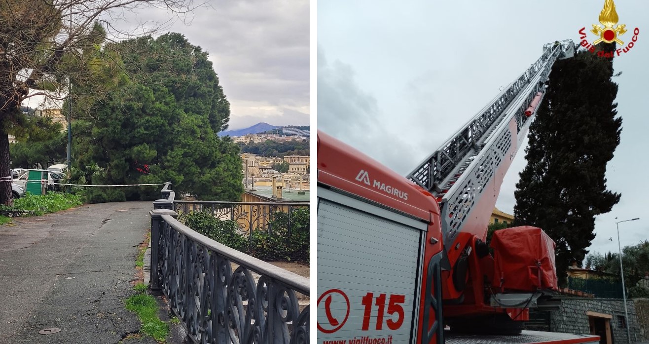 Maltempo, finita allerta: cade albero in corso Podestà, nella notte molti interventi dei Vigili del Fuoco. Chiusi anche oggi i parchi