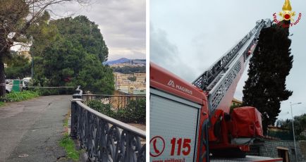 Maltempo, finita allerta: cade albero in corso Podestà, nella notte molti interventi dei Vigili del Fuoco. Chiusi anche oggi i parchi