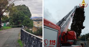 Maltempo, finita allerta: cade albero in corso Podestà, nella notte molti interventi dei Vigili del Fuoco. Chiusi anche oggi i parchi