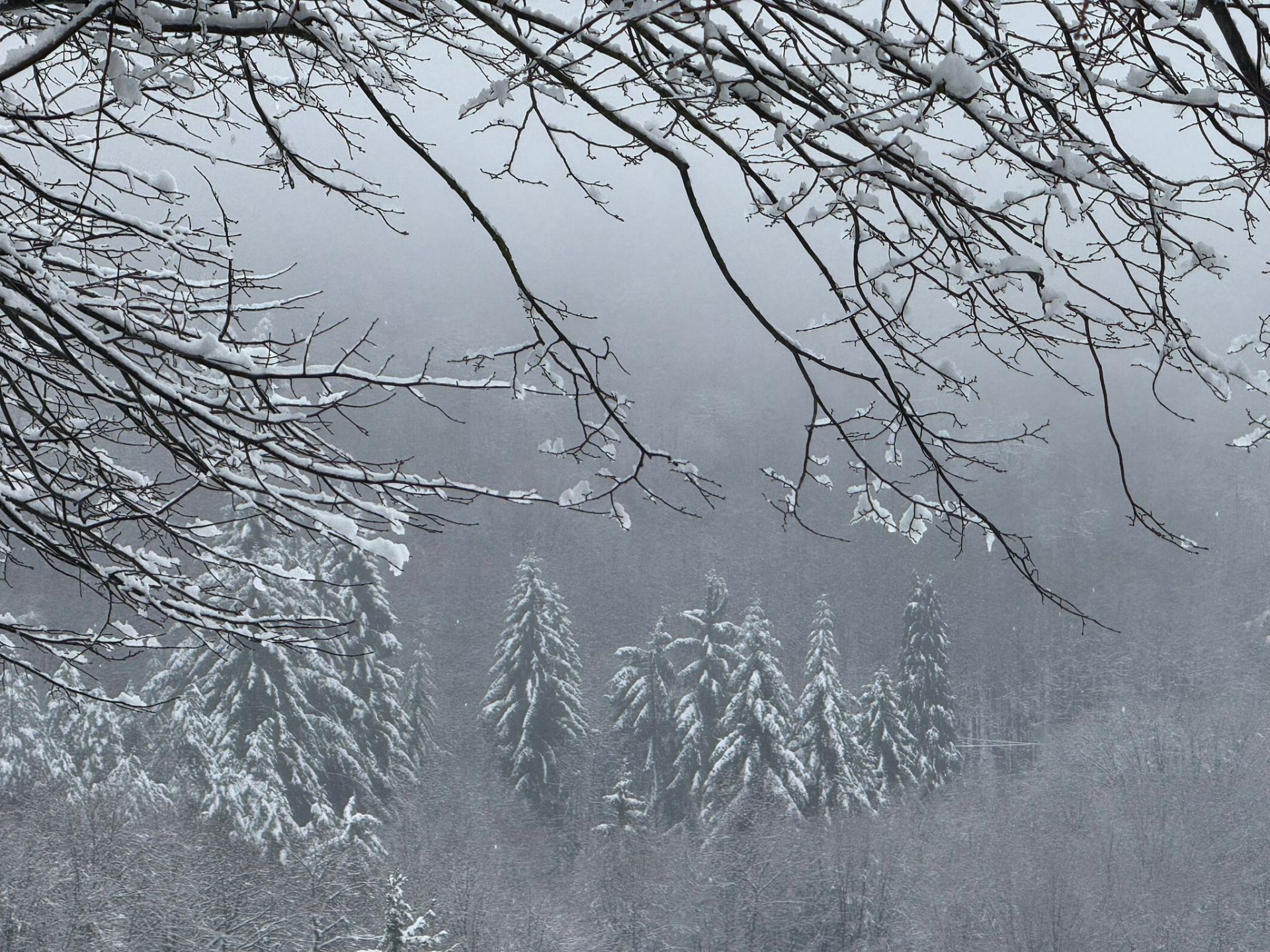 Liguria: colpo di coda dell'inverno, ricompare anche la neve