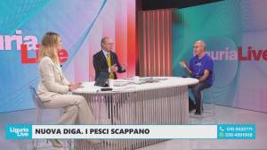 Diga foranea, pescatori in crisi: “Così il mare si svuota e noi restiamo senza lavoro”