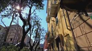 Via Soliman, alberi potati: "Finalmente luce e sicurezza sui balconi"