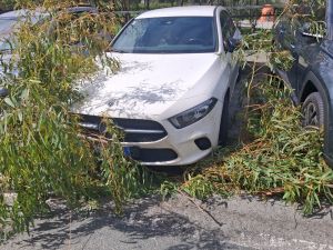 Burrasca su Genova, ferita una donna e decine di interventi: disagi anche ai voli