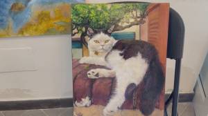 Boccadasse ricorda il “suo” Gino Paoli: “Sapore di sale è la mia gioventù”