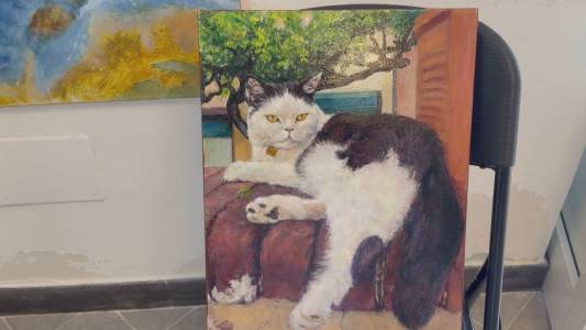 Boccadasse ricorda il “suo” Gino Paoli: “Sapore di sale è la mia gioventù”