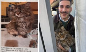 Genova, gatto disperso da due giorni nei vicoli ritrovato dalla Polizia locale