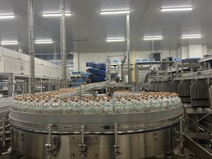 Benvenuti in Liguria alla scoperta delle eccellenze del food valbormidese