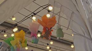 Pasqua 2026, i genovesi: "Dentro l’uovo vogliamo la pace nel mondo!”