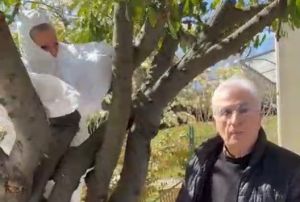 Pasqua: gli auguri a Telenord di Michele e della moglie Cristina