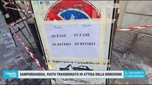 Sampierdarena, fusto transennato e in attesa della rimozione