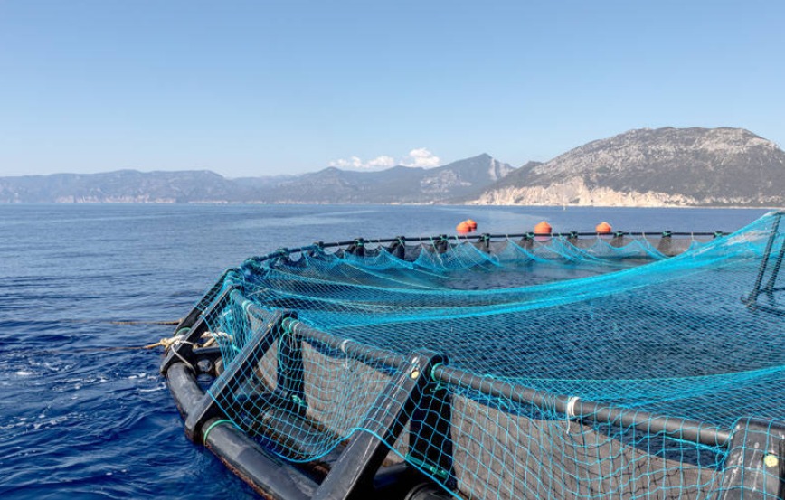 Pesca, via al bando per sperimentare la sciabica da natante in Liguria