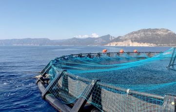 Pesca, via al bando per sperimentare la sciabica da natante in Liguria