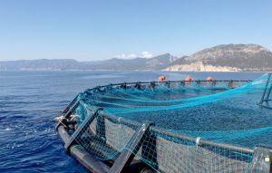Pesca, via al bando per sperimentare la sciabica da natante in Liguria
