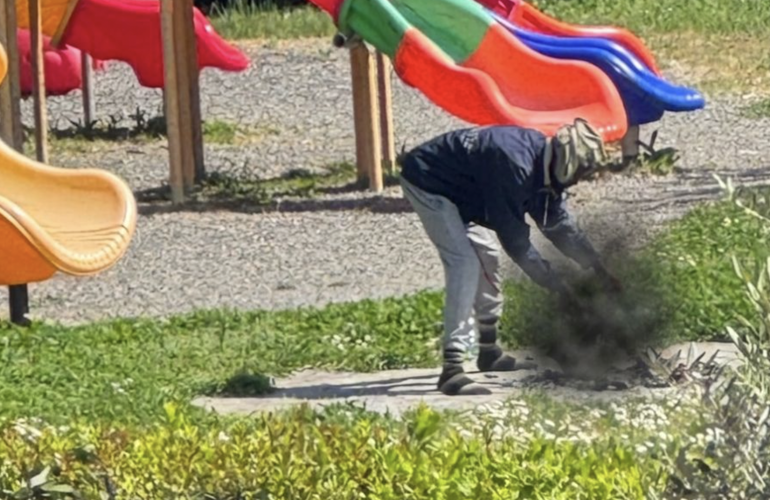 Sarzana: gatto ucciso e cucinato in un parco pubblico, uomo denunciato