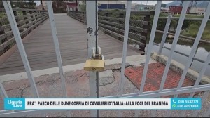 Parco delle Dune chiuso, Frulio: “Vogliamo riaprirlo al più presto, indispensabile l’autorizzazione di AdSP”