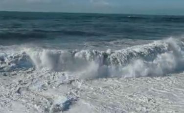 Sturla, anfore rifugi per i polpi. Esperimento riuscito