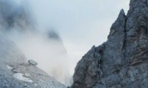 Cinema e natura, il Premio Dolomiti Energia va a “The Road to Patagonia”
