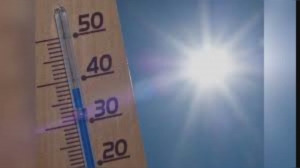 Ondate di calore, Comune di Genova: "Prevista estensione gratuità trasporto pubblico per over 70 dal 15 giugno"