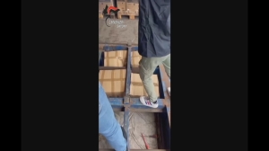 Savona, arrestato autotrasportatore con 170 kg di hashish nel rimorchio