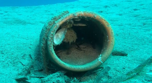 Il “Giardino dei Polpi” a Sturla dà i primi risultati, Puzone (Underwater Dome): “Segnali concreti di ripopolamento”