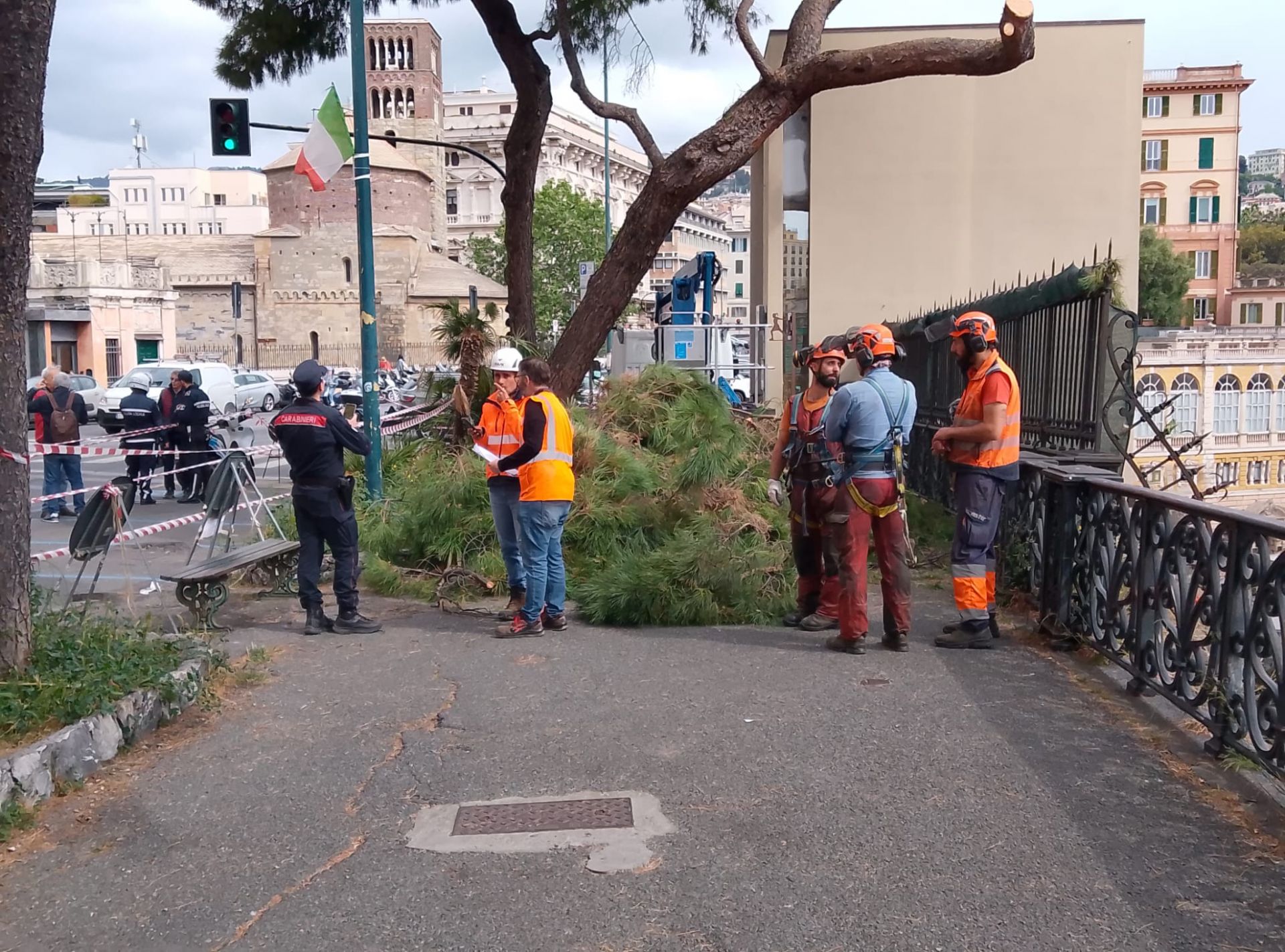 Genova, manifestazione contro l'abbattimento dei pini di Corso Podestà