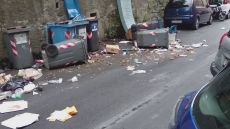 Emergenza cinghiali in via Marsano: allarme per igiene e decoro urbano